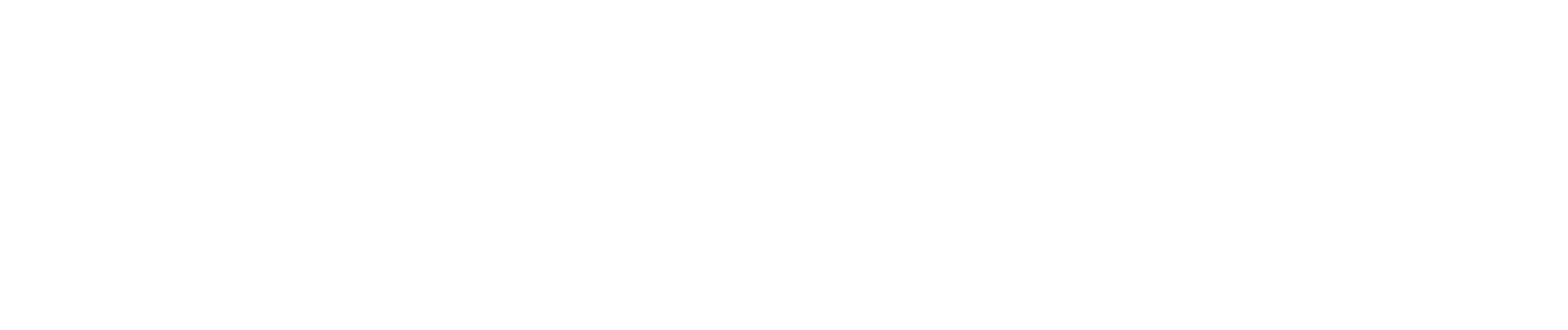 Blue Analyticx